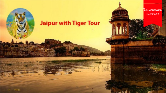 Jaipur with Tiger Tour